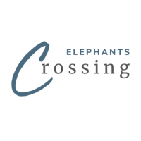 Elephants Crossing Lodges